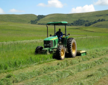 CropsPasture1 CropsPasture1