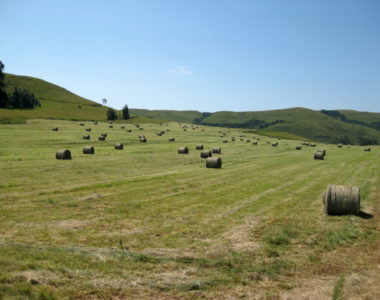 CropsPasture2 CropsPasture2