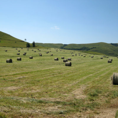 CropsPasture2 CropsPasture2