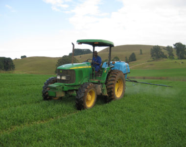 CropsPasture3 CropsPasture3