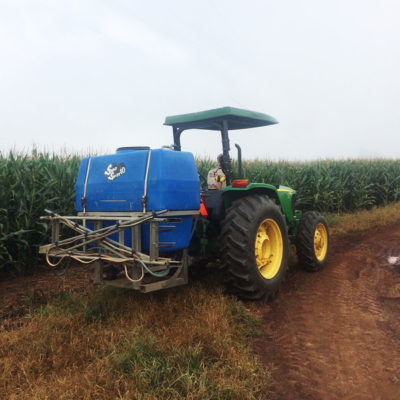 CropsPasture4 CropsPasture4