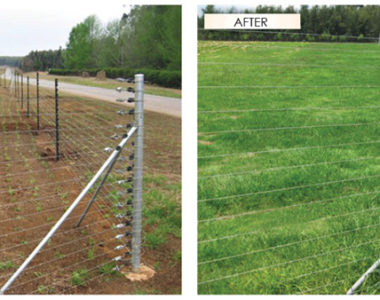 CropsPasture_Before_and_After CropsPasture_Before_and_After