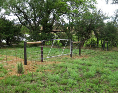 Fencing1