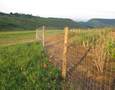 Fencing2
