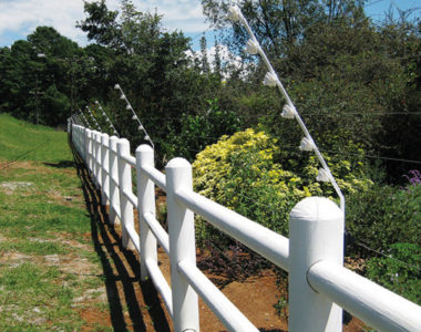 Fencing6