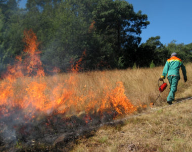 Fire1 Fire1