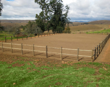 Horse_Arena Horse_Arena
