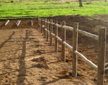 Horse_Arena_side Horse_Arena_side